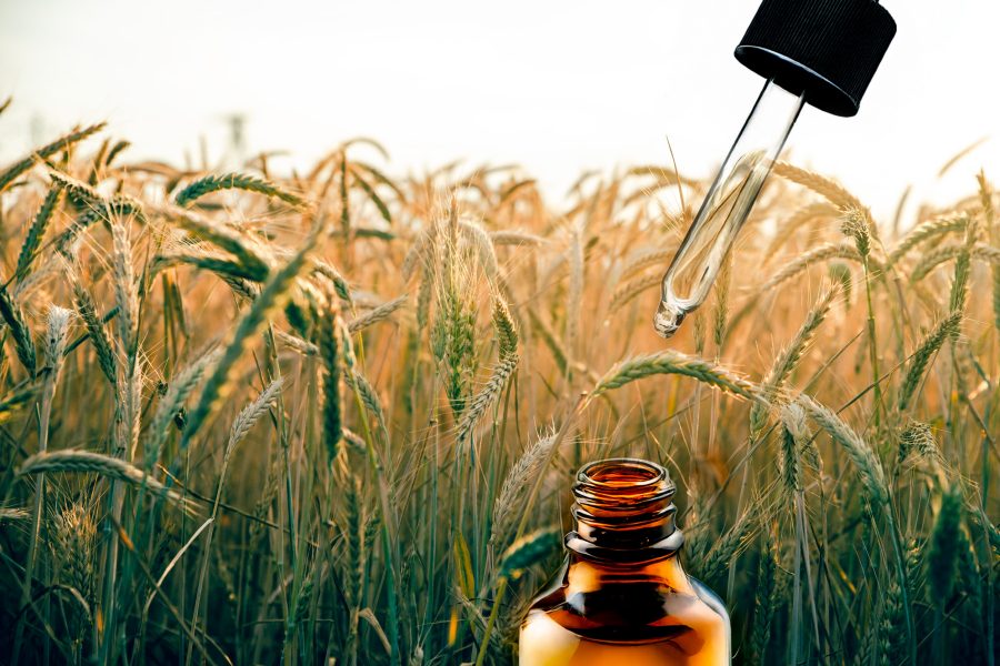 美國黑麥花萃取